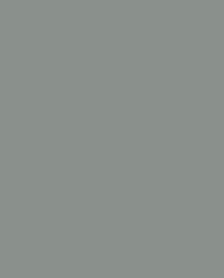 Benjamin Moore High-Performance Fast-Cure Polyamide Epoxy HP4100