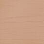 Arborcoat Semi-Transparent Waterborne Deck and Siding Stain Sample Cougar Brown