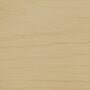 Arborcoat Semi-Transparent Waterborne Deck and Siding Stain Sample