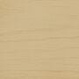 Arborcoat Semi-Transparent Waterborne Deck and Siding Stain Sample Dry Sage