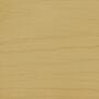 Arborcoat Semi-Transparent Waterborne Deck and Siding Stain Sample Mountain Moss