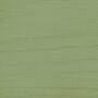 Arborcoat Semi-Transparent Waterborne Deck and Siding Stain Sample Salamander