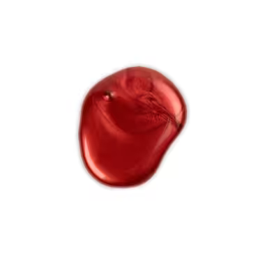 Torginol Pigments – Solids