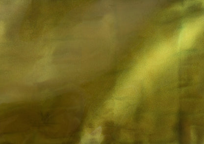 Torginol Pigments - Color-Shift