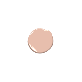 Conch Shell – Rossi Paint Stores