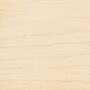 Arborcoat Semi-Transparent Classic Oil Stain Maritime White