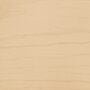 Arborcoat Translucent Waterborne Deck and Siding Stain Silver Gray